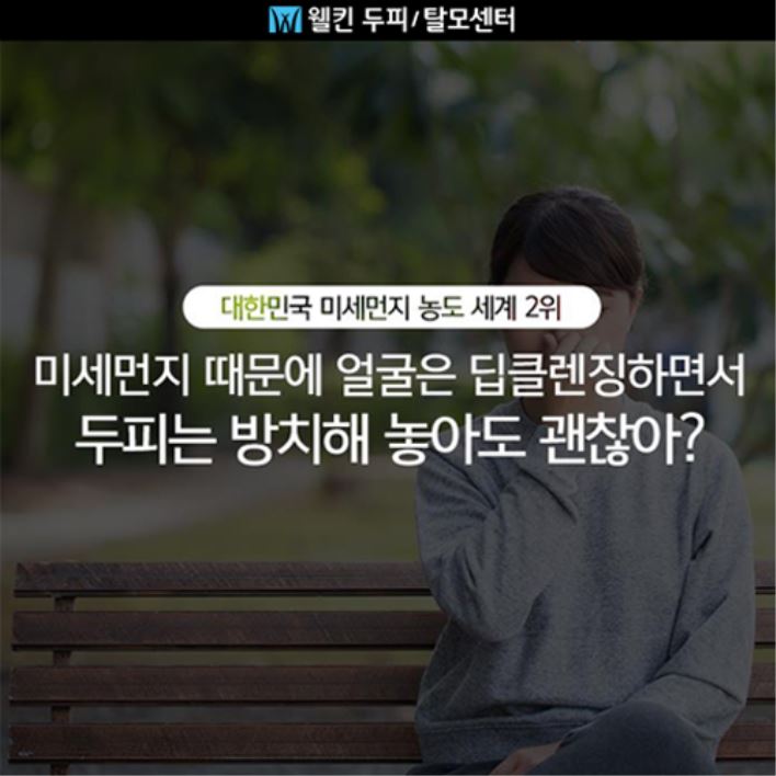 미세먼지에 노출되는 두피