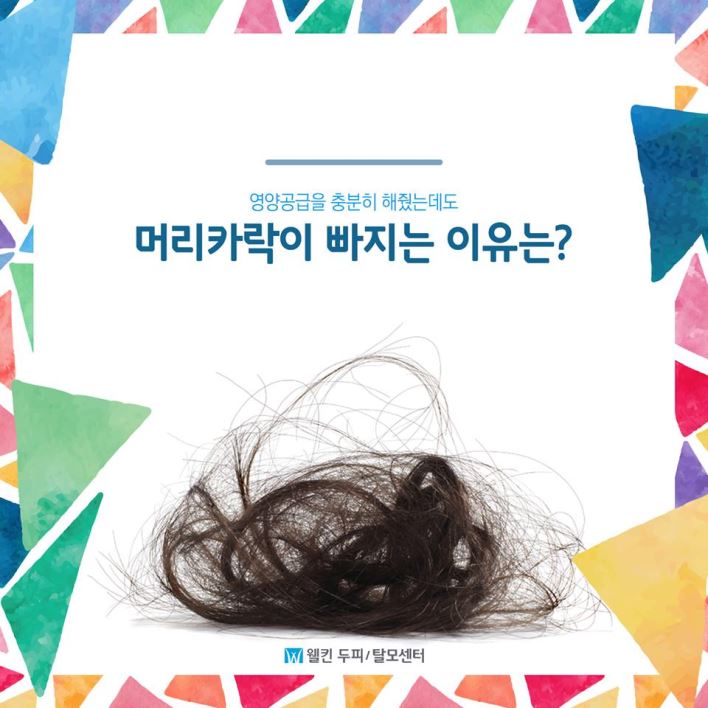 풍부한 영양 공급, 그런데도 탈모라고?