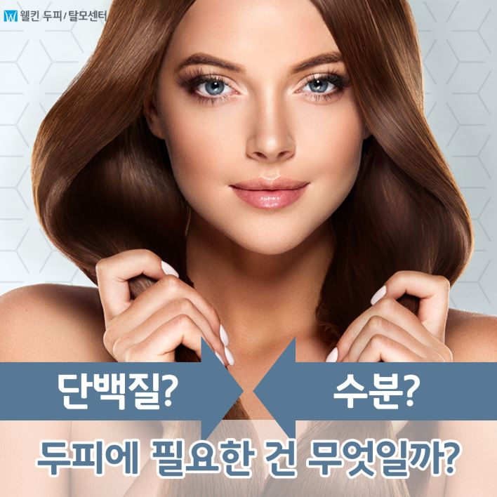 단백질? 산소? 두피에 필요한 것은?