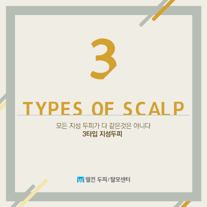 지성 두피에도 유형이 있다고?