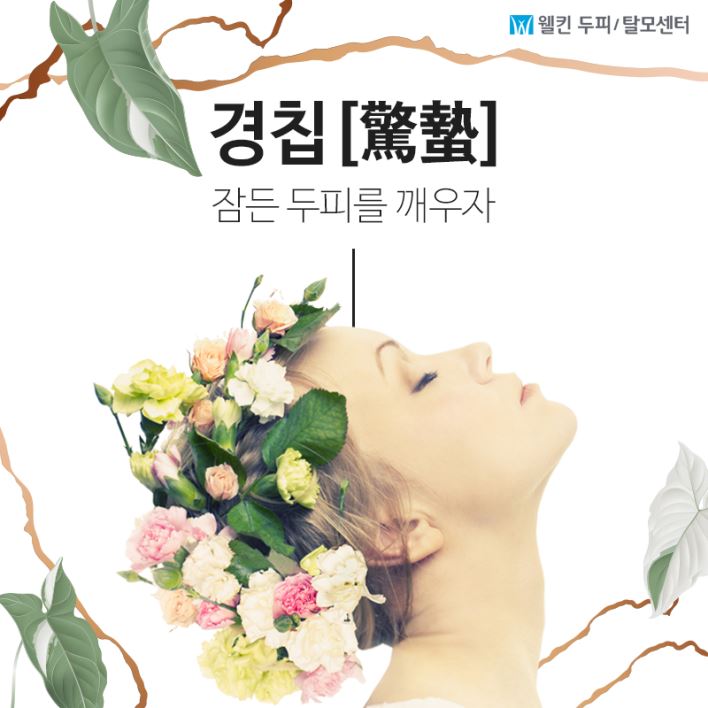 경칩엔 두피를 깨우자