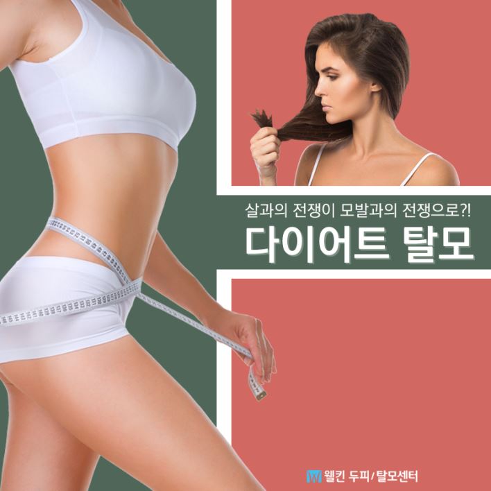 살과의 전쟁이 모발과의 전쟁으로?! 다이어트 탈모