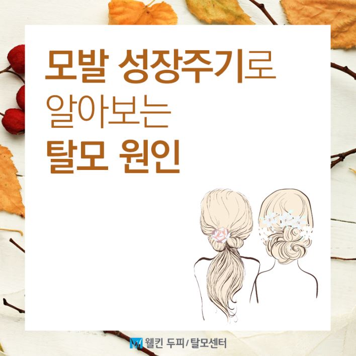 모발 성장주기로 알아보는 탈모 원인