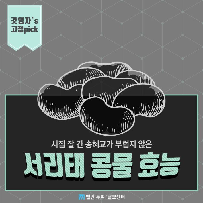 두피에 좋은 서리태 콩물 집중분석