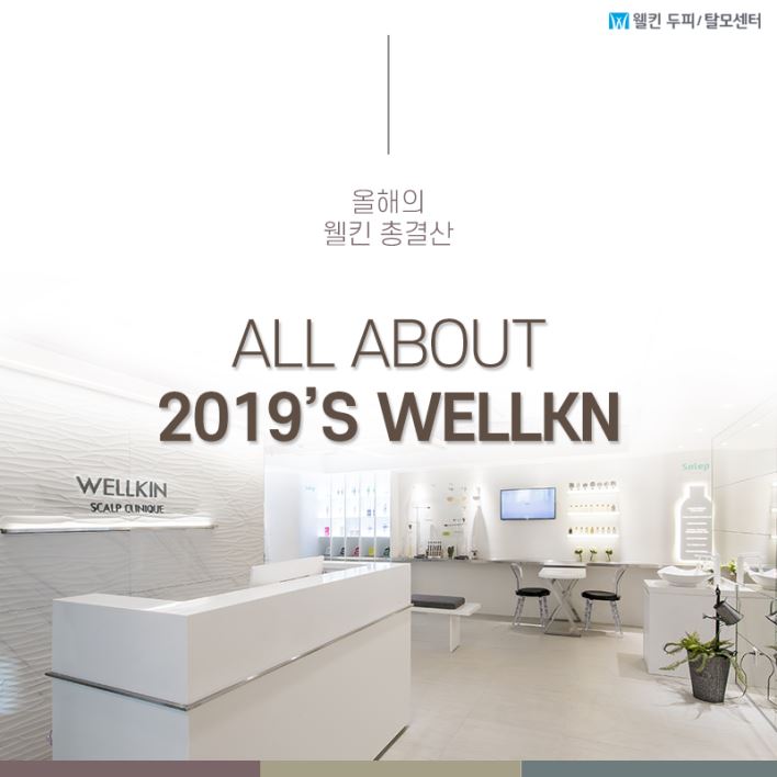 2019 결산! 웰킨 뉴스 한눈에 모아보기