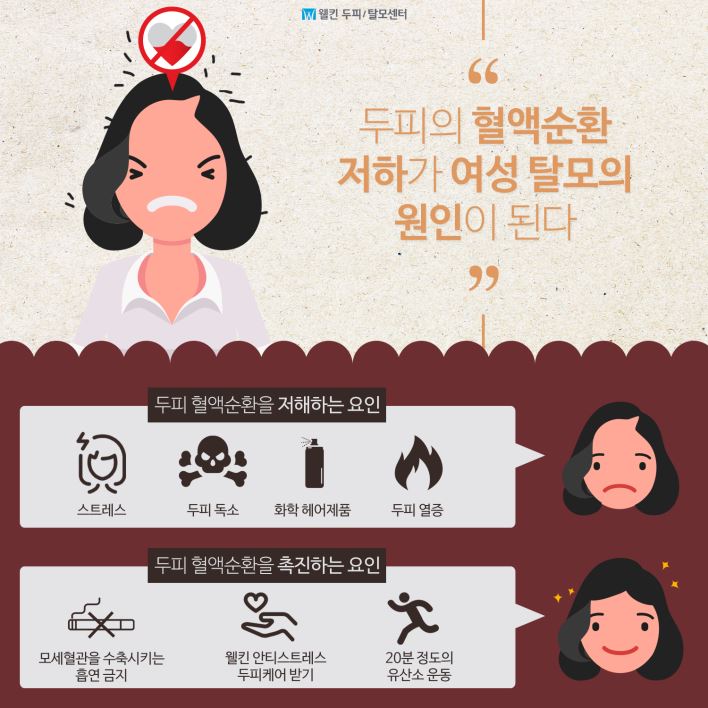 두피 혈액순환이 여성탈모로?